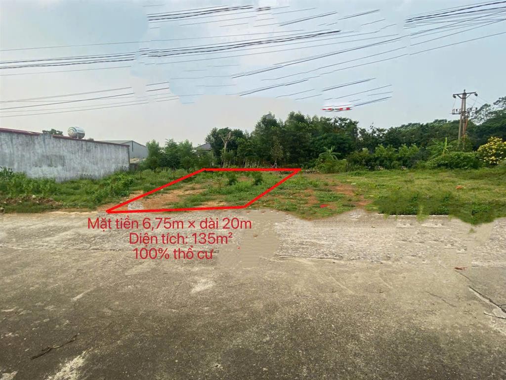 CHÍNH CHỦ CẦN TIỀN – BÁN LỖ ĐẤT THANH ĐÌNH, VIỆT TRÌ - Ảnh 3