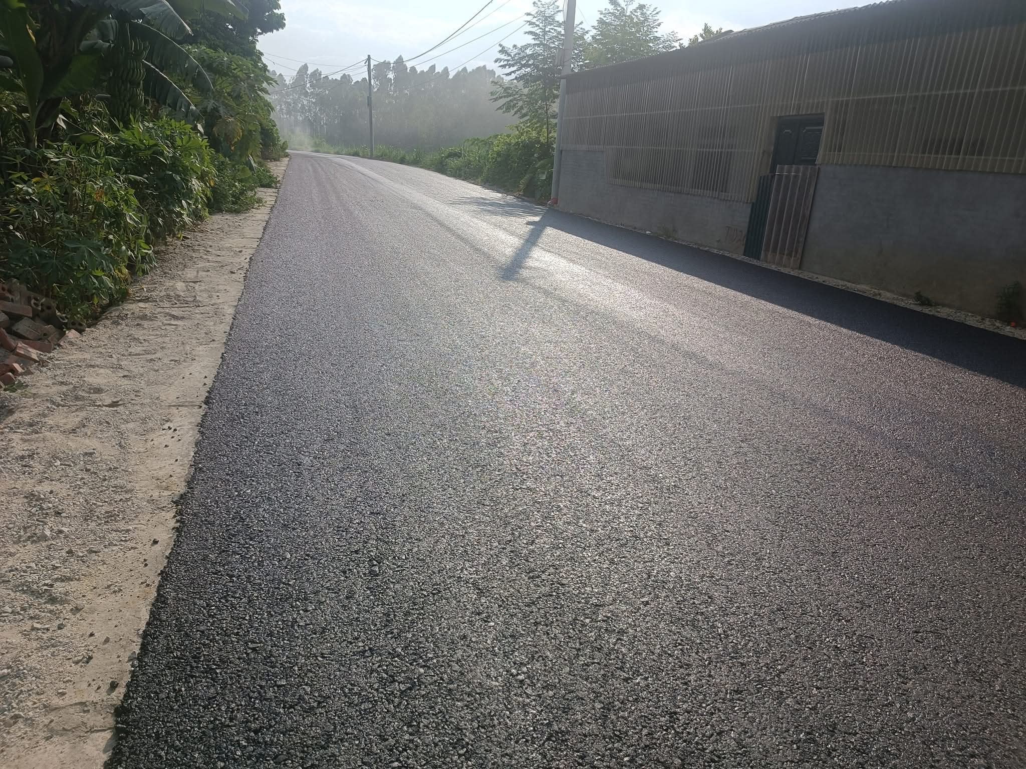 Bán Đất 125m2 có sẵn 70 m2 thổ cư giá 2.7 tỷ gần Đường Đại Lộ Hùng Vương Xã Kim Đức Thành phố Việt Trì Phú Thọ - Ảnh 2