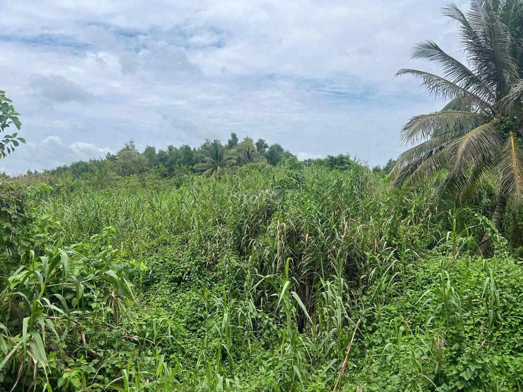 Ngân hàng thanh lý lô đất full thổ cư mặt tiền đường Võ Văn Kiệt