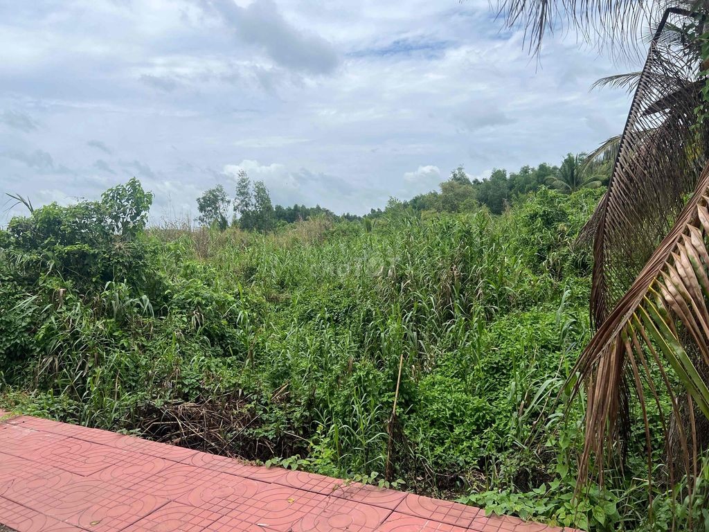 Ngân hàng thanh lý lô đất full thổ cư mặt tiền đường Võ Văn Kiệt