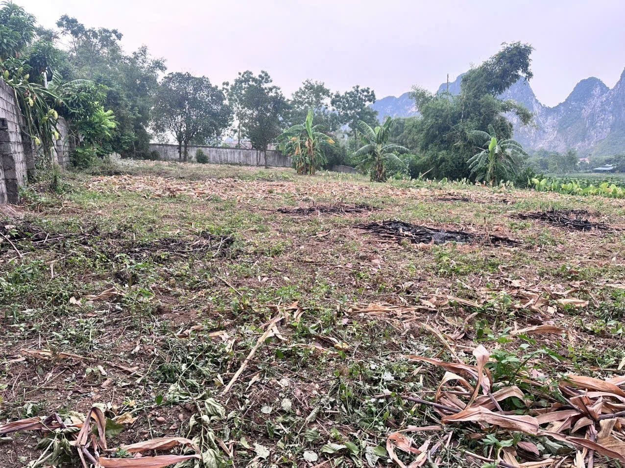 2142m có sẵn 200m thổ cư - View núi đá - Xã Liên Sơn Huyện Lương Sơn - Ảnh 3