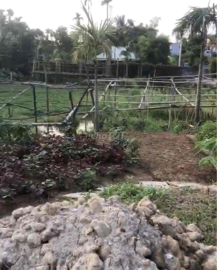 Đất 465m2 ngang 15m trục Kiều Đông, Hồng Thái hơn 500 triệu