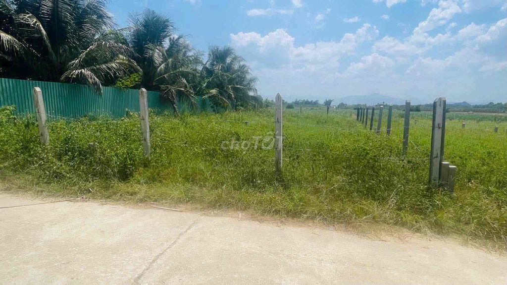 Đất Diên Thọ Khánh Hoà đường lớn đẹp hơn trăm m2 chỉ tiền trăm - Ảnh 3