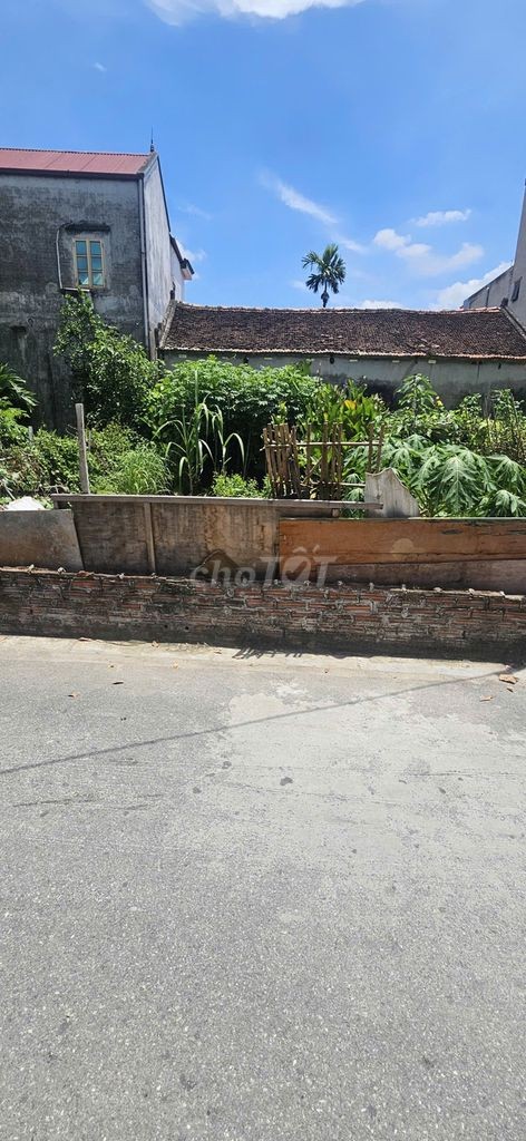 🌈 🌈 Hoa Hậu 55m2 Bến Trung, Đường Lớn 6m Ô Tô Tránh, Kinh Doanh