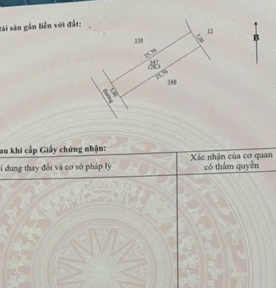Đất Hẻm 33 NGÔ GIA KHẢM - Phường Hội Phú - Ảnh 3