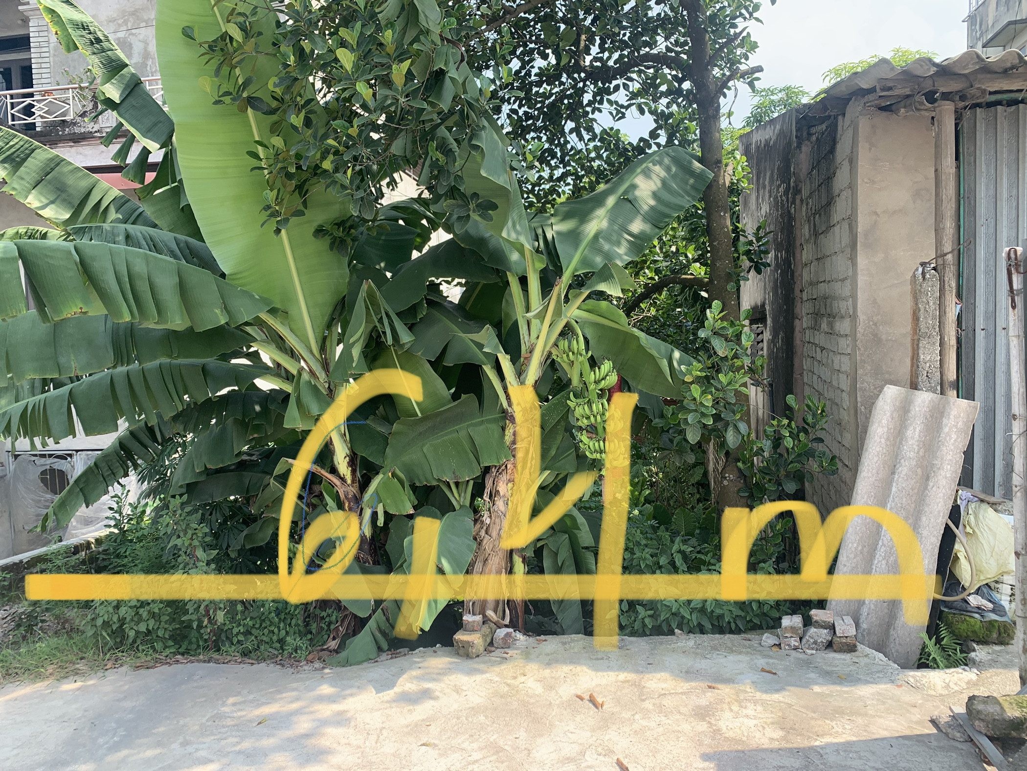 Diện tích rộng làm kho bãi,kinh doanh,tích sản… - Ảnh 2