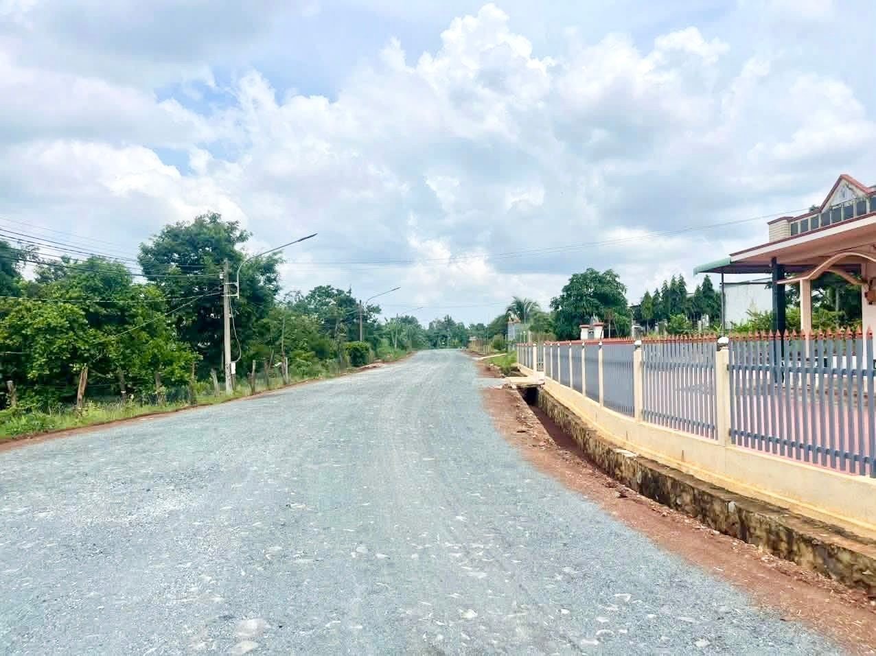 BÁN GẤP 2.000M2 GIÁ 190 TRIỆU, ĐẤT MT GẦN CHỢ, SỔ HỒNG RIÊNG ☎️ 0969.950.161 ( Gặp Chủ ) - Ảnh 2