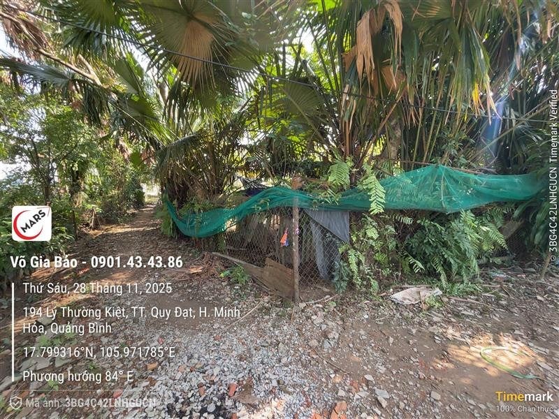 CHÍNH CHỦ CẦN BÁN 2 SỔ LIỀN KỀ QL12A, QUY ĐẠT, QUẢNG BÌNH. - Ảnh 3