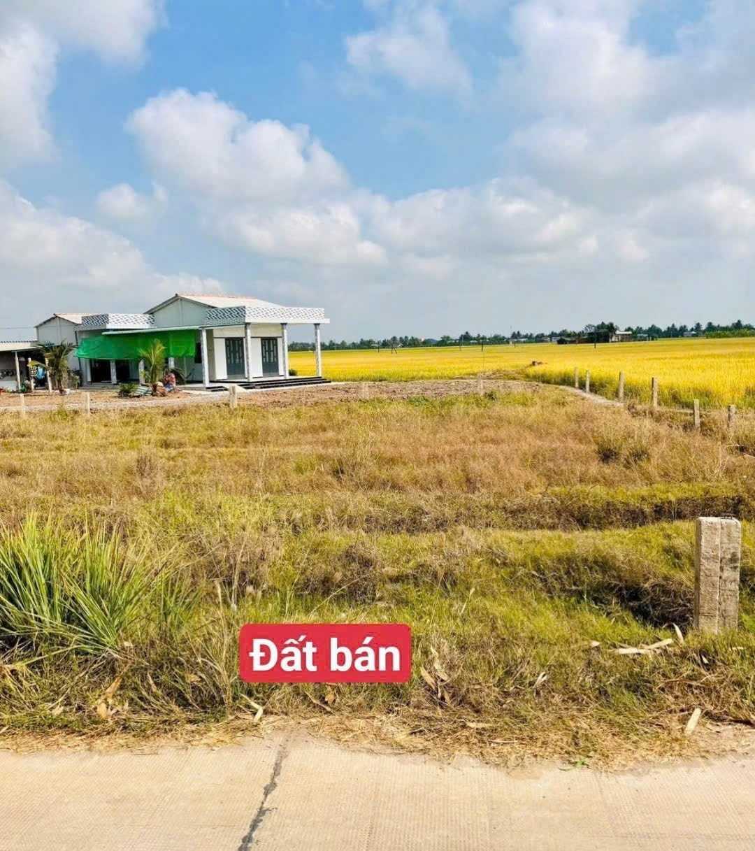 Bấn đất sát bên ngã tư lạc tấn ngần chợ trường học giá 350tr (rẻ nhất khu vực) - Ảnh 3