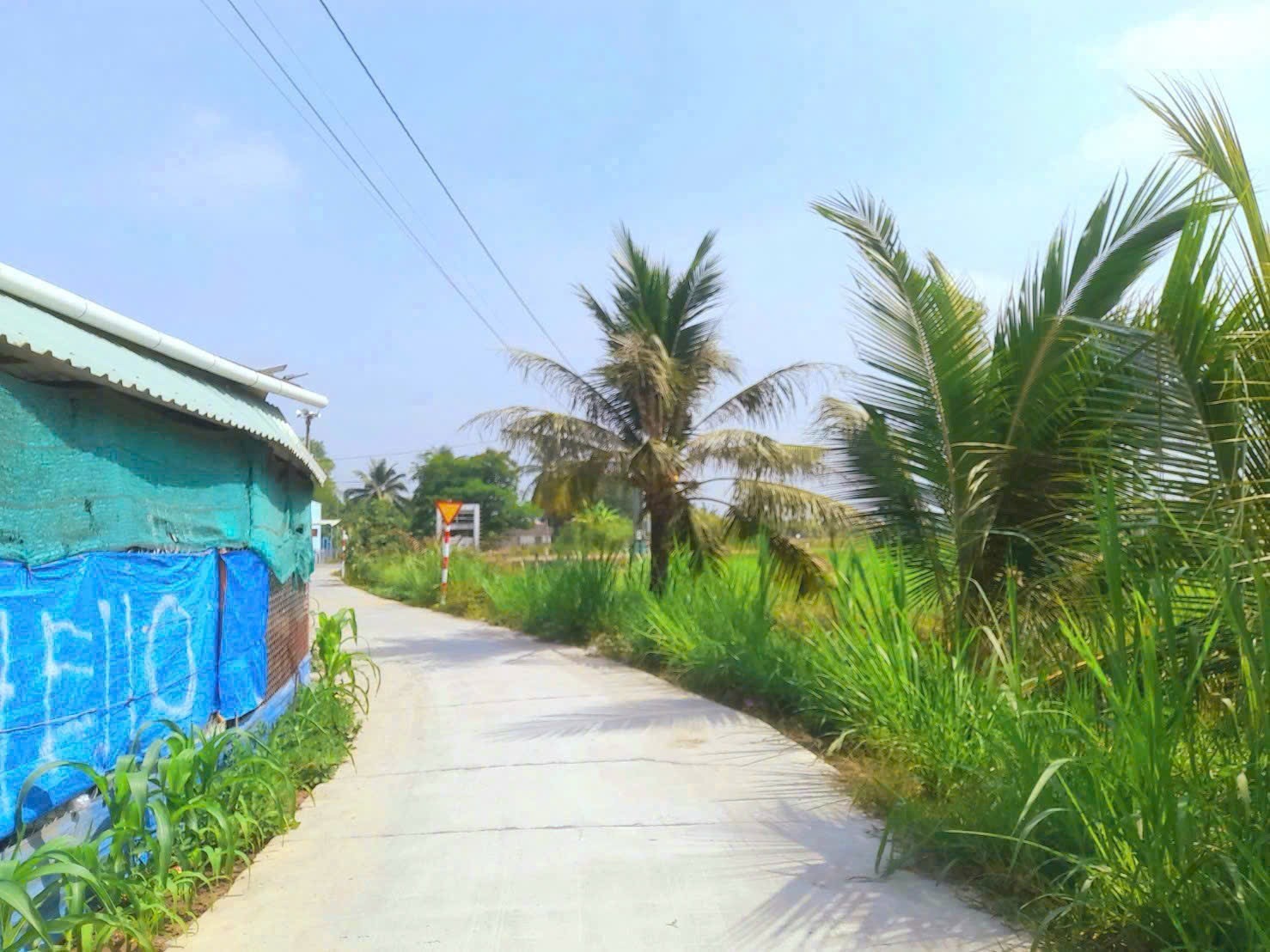Bấn đất sát bên ngã tư lạc tấn ngần chợ trường học giá 350tr (rẻ nhất khu vực) - Ảnh 6