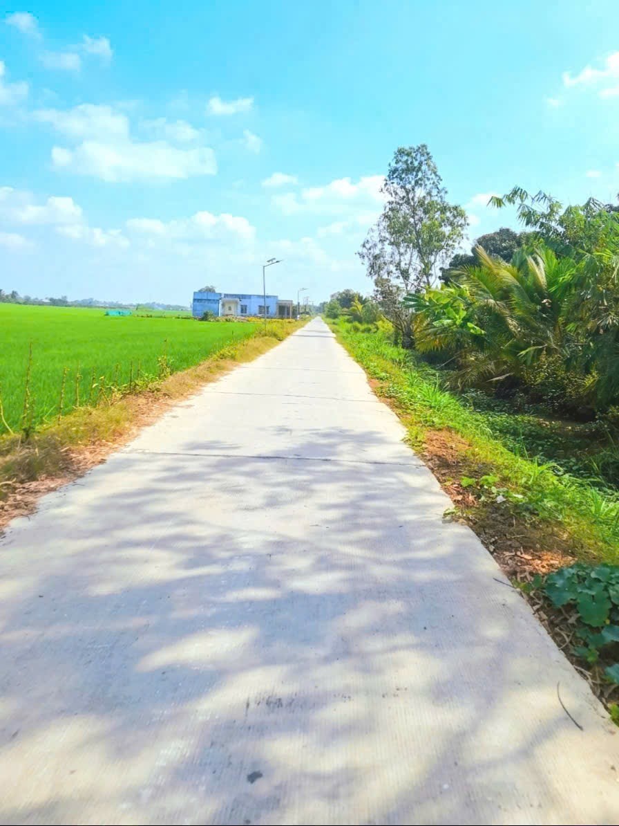 Bấn đất sát bên ngã tư lạc tấn ngần chợ trường học giá 350tr (rẻ nhất khu vực) - Ảnh 7