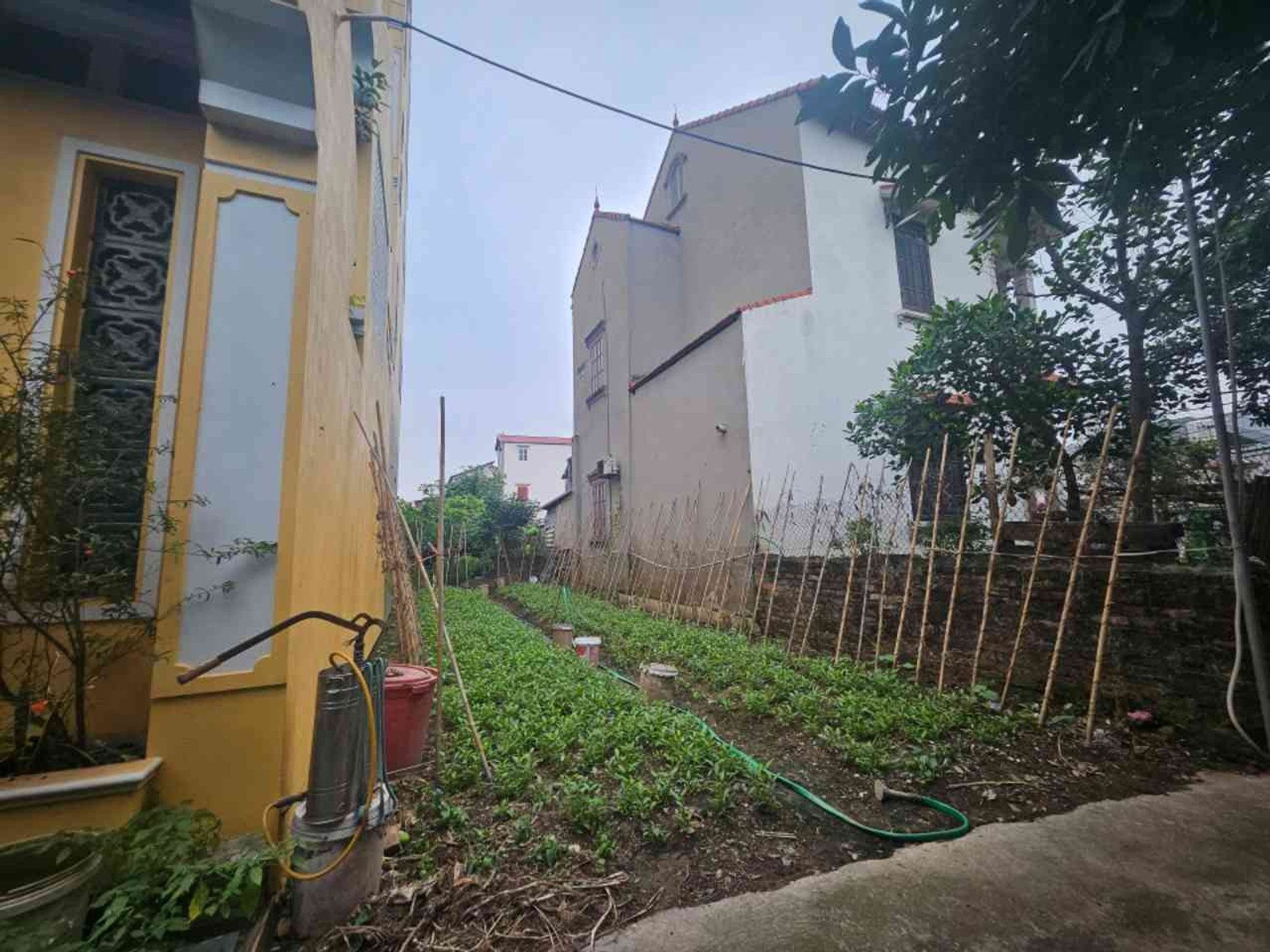 hàng xóm pvf, đan kim- văn giang, diện tích 76m2, nhỉnh 3 tỷ - Ảnh 1