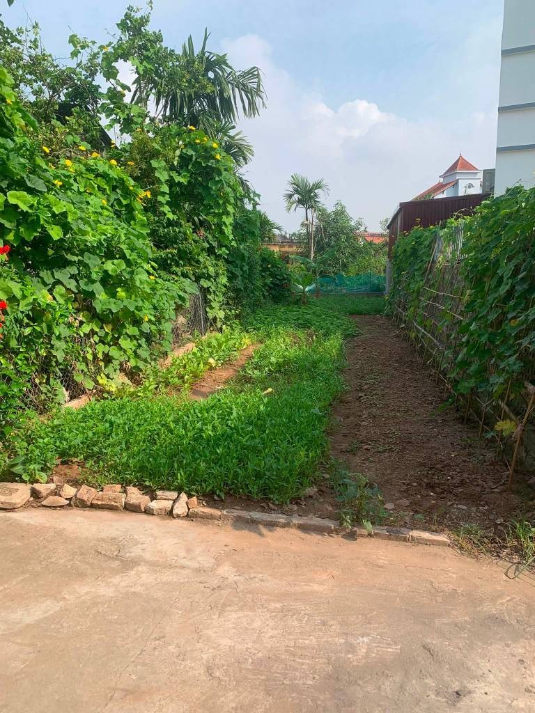 Chính chủ bán lô đất thôn Quán Trạch, Văn Giang Hưng Yên, vị trí đẹp giá chỉ 4.05 tỷ