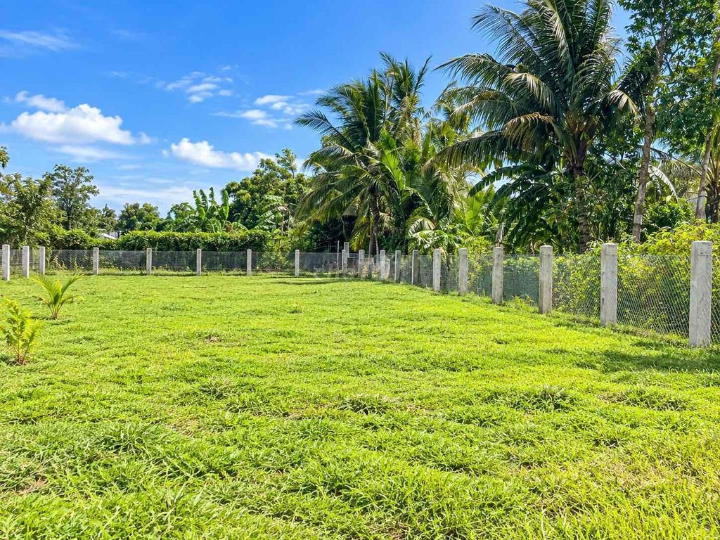 🔥 300M² ĐẤT SỔ RIÊNG – 100M² ĐẤT Ở ĐÔ THỊ – GIÁ CHỈ 690 TRIỆU - Ảnh 1
