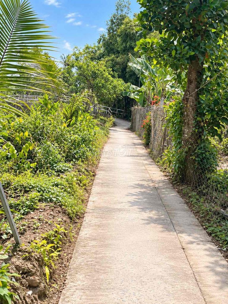 🔥 300M² ĐẤT SỔ RIÊNG – 100M² ĐẤT Ở ĐÔ THỊ – GIÁ CHỈ 690 TRIỆU - Ảnh 2