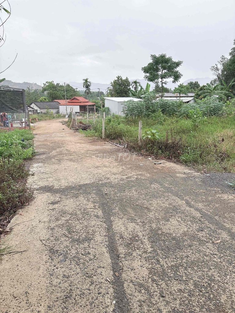 chào bán lô đất xp đường bê tông 5m - Ảnh 1