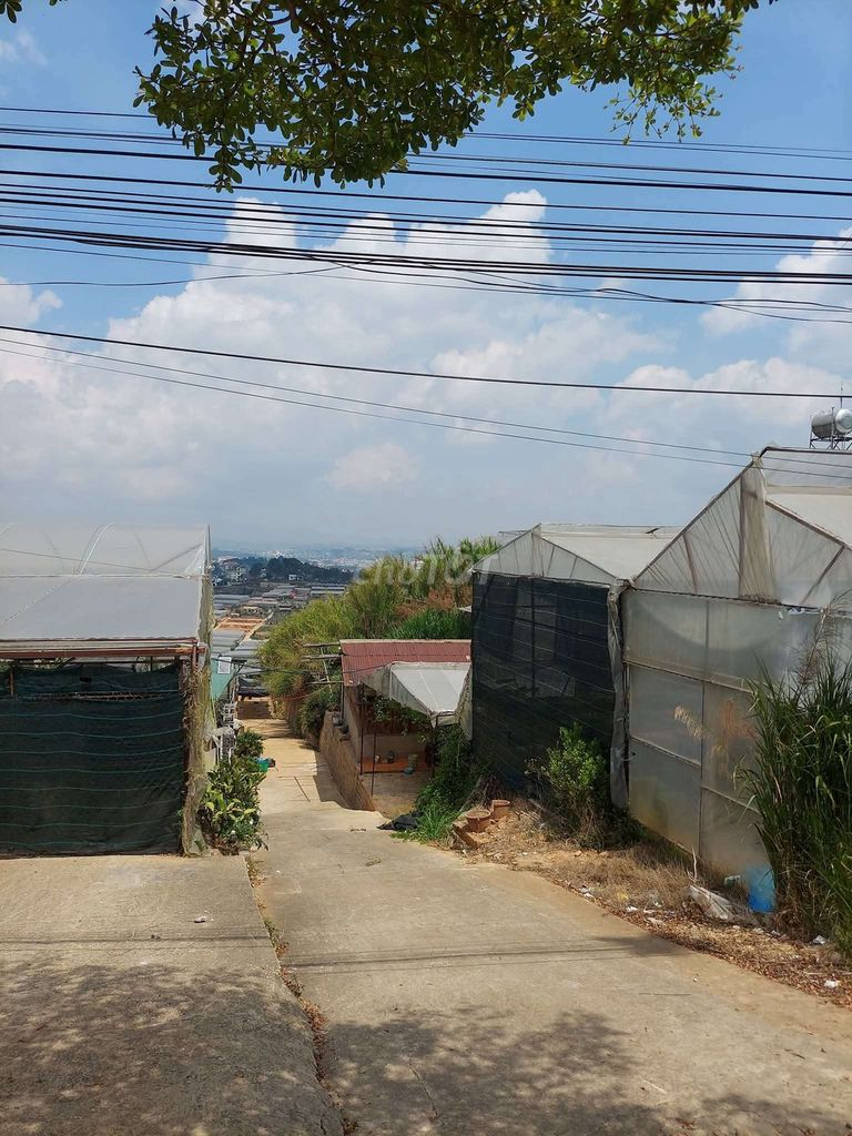 BÁN LÔ ĐẤT VỊ TRÍ ĐẮT ĐỊA MT ĐƯỜNG HÙNG VƯƠNG P XUÂN TRƯỜNG TP ĐÀ LẠT - Ảnh 2