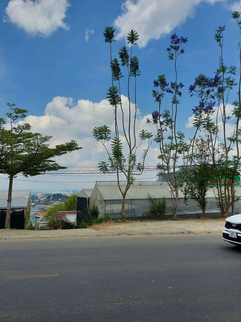BÁN LÔ ĐẤT VỊ TRÍ ĐẮT ĐỊA MT ĐƯỜNG HÙNG VƯƠNG P XUÂN TRƯỜNG TP ĐÀ LẠT - Ảnh 3