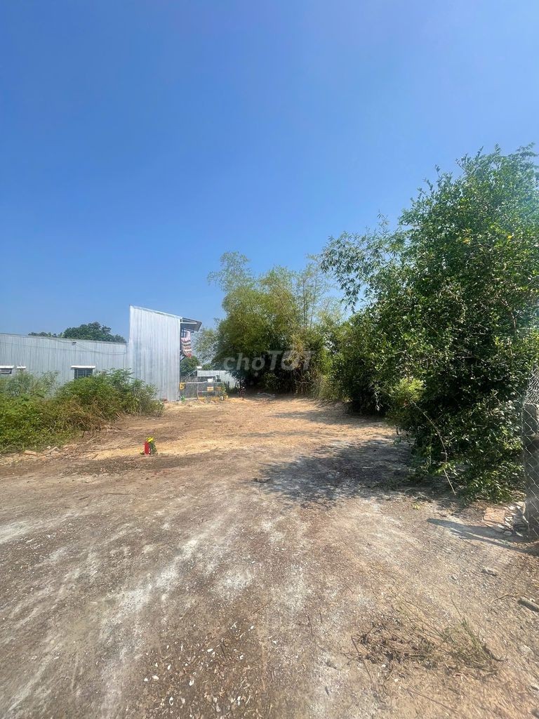 Bán lô đất đẹp 93m2 kiệt ô tô Mai Đăng Chơn, Ngũ Hành Sơn, Đà Nẵng - Ảnh 2