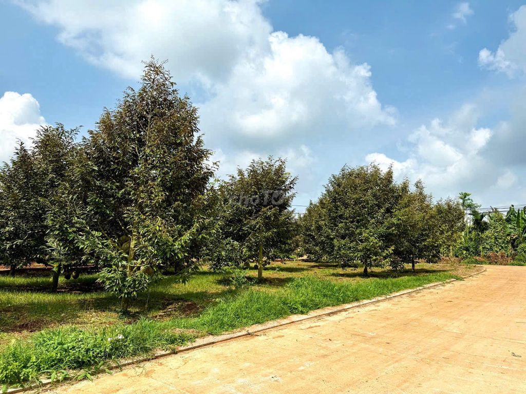 🔥 EA KTUR – 212M² – NGANG 5M – 125M² ĐẤT Ở – CHỈ 500 TRIỆU - Ảnh 2