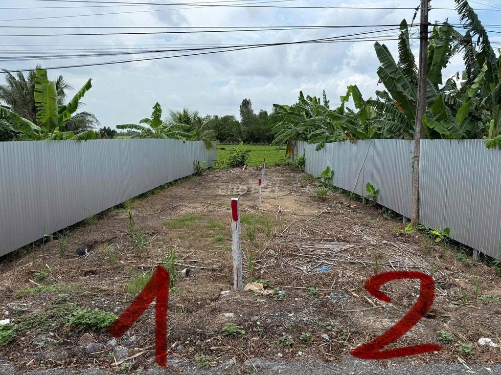 Chính chủ bán nền lộ nhựa - Ảnh 2