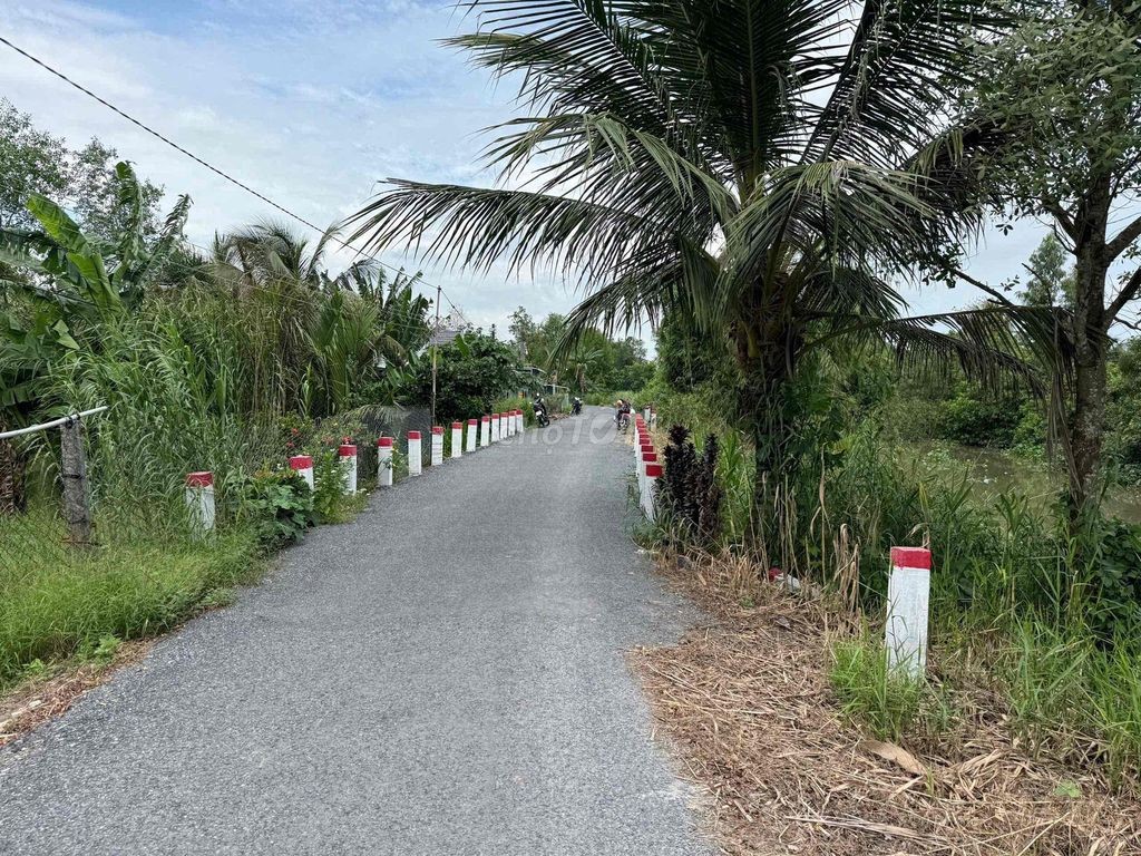 Chính chủ bán nền lộ nhựa - Ảnh 3