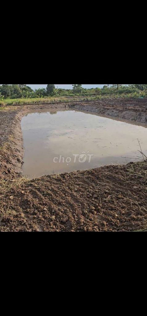 đất vườn có thổ cư - Ảnh 7