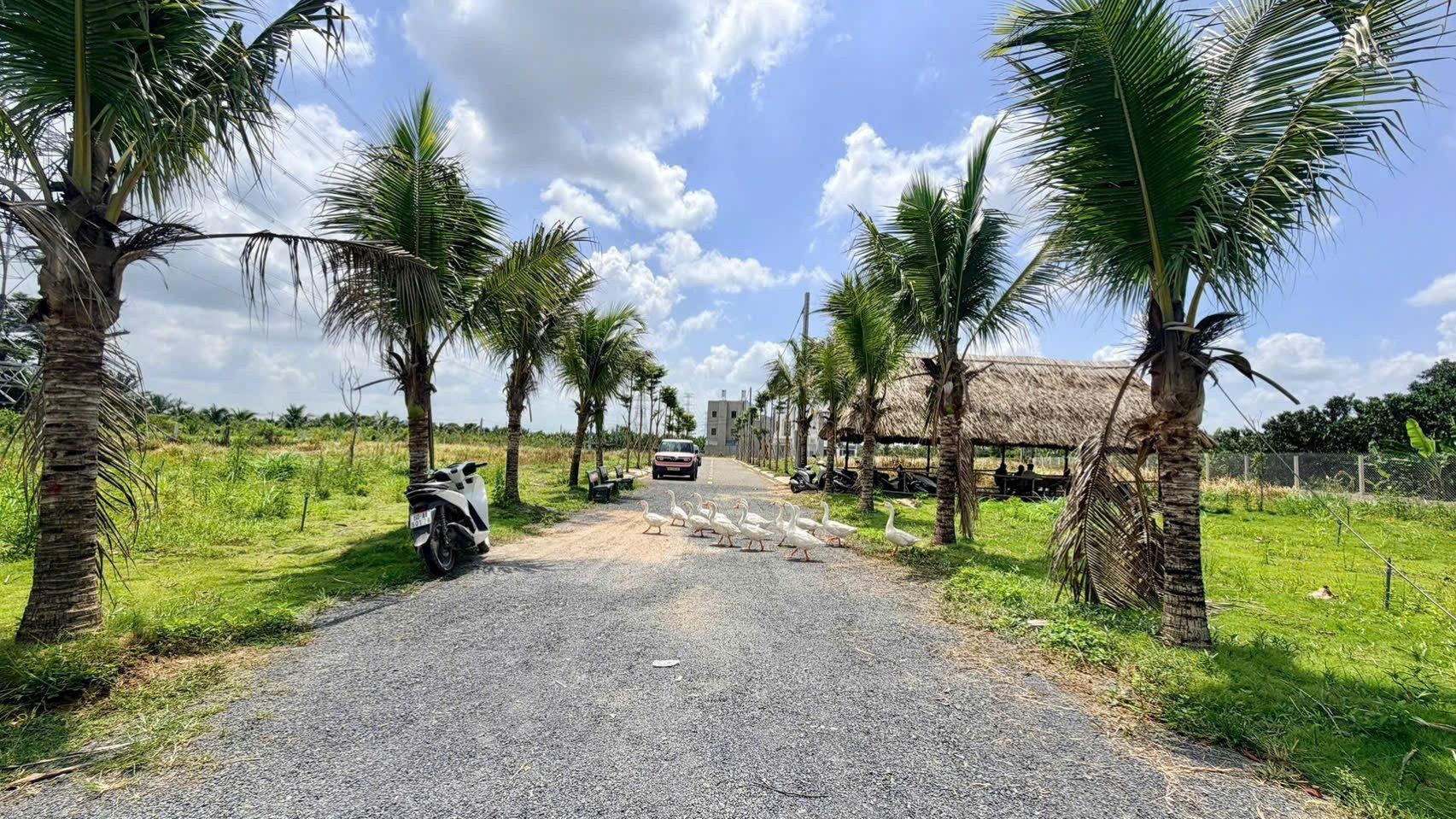 30 lô đất nền ven sông ngay cầu Tân Triều chỉ 1,290 tỷ/nền diện tích 80 - 160m2. có lô Góc 2 mặt tiền💥 - Ảnh 7