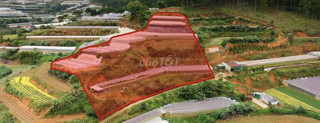 🔥 BÁN GẤP 3.000M² ĐẤT NÔNG NGHIỆP – 2 MẶT ĐƯỜNG – Ô TÔ VÀO TẬN NƠI 🔥 - Ảnh 6
