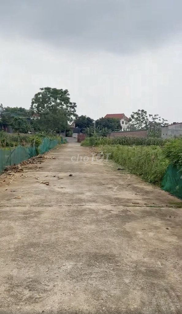 Đất Đẹp 120m², Đường 12m, Vị Trí Băng 4 Tại Đồng Mồng Xung, Thanh Đình - Ảnh 3