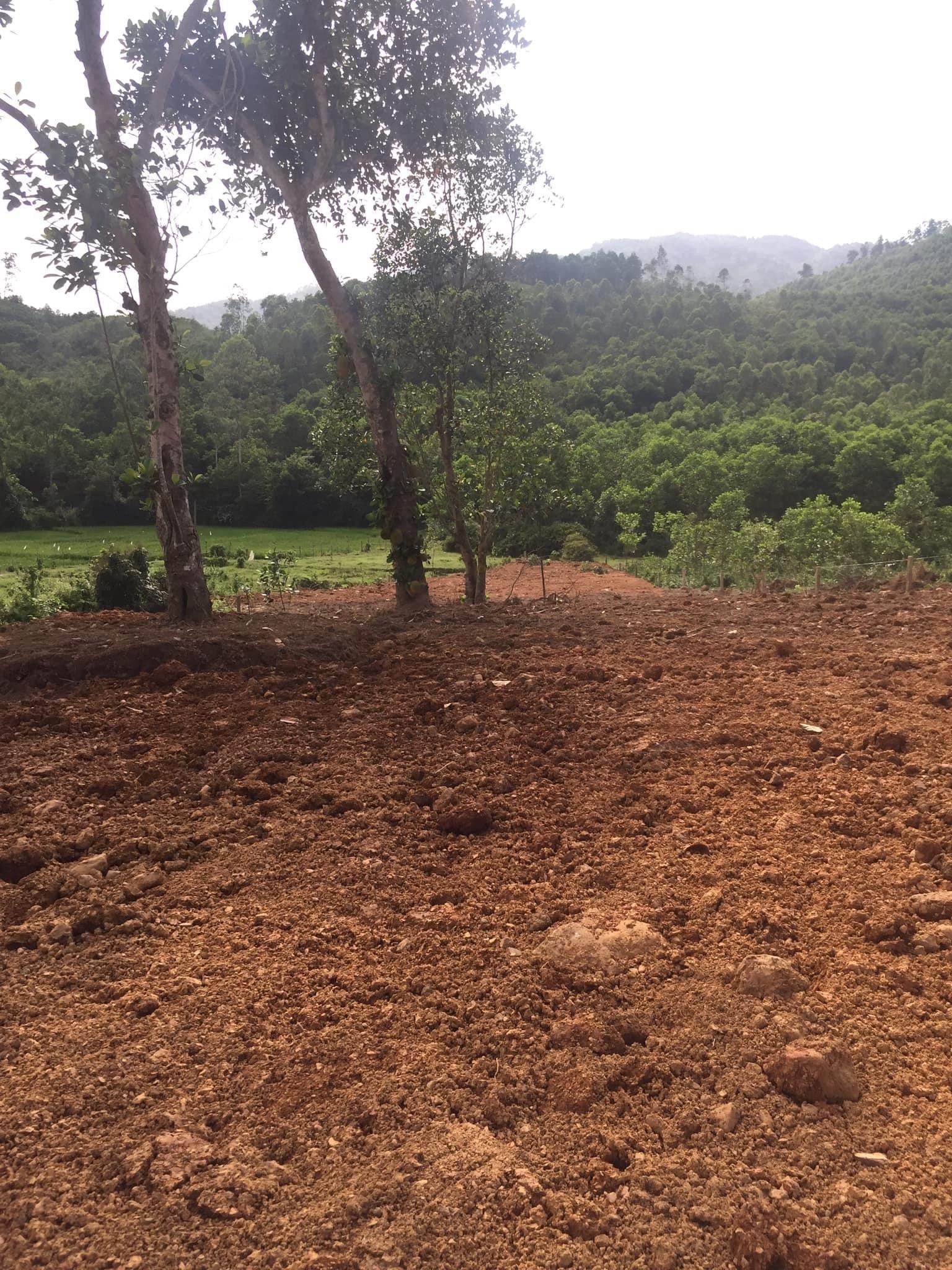 Bán Đất 1800m2 có sẵn 400 m2 thổ cư giá 3.8 tỷ tại Đường Vành Đai Xã Ngọc Thanh Thị xã Phúc Yên Vĩnh Phúc