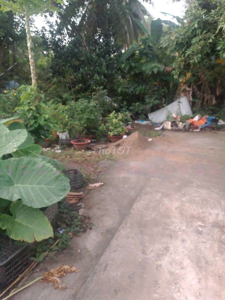 bán đất trong hẻm, sát chợ cua, gần bệnh viện vĩnh long