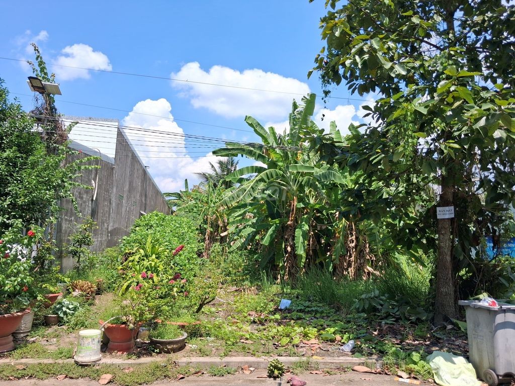 Chính chủ cần bán nền đẹp - Ảnh 3