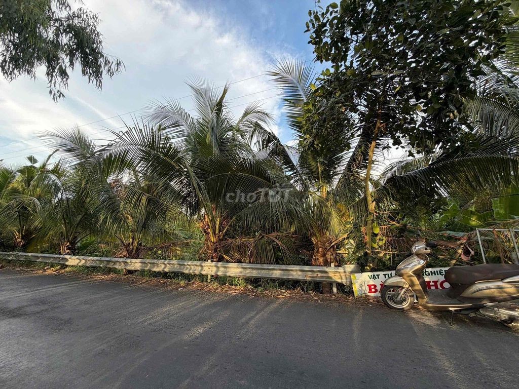 CHÍNH CHỦ BÁN 13.600M2 ĐẤT VƯỜN SẦU RIÊNG ĐANG THU HOẠCH - TP. CAO LÃN