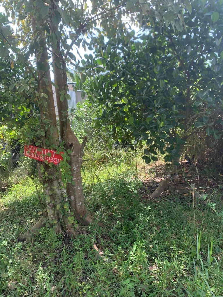 Bán đất nền 106m2 , xã Tân Thuận Đông, Đồng tháp.