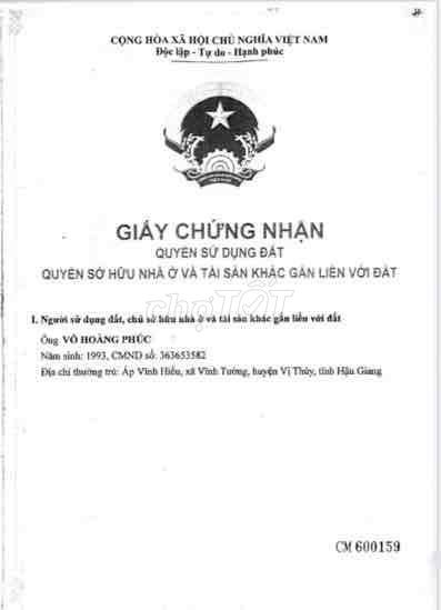 đất vườn Đồng Tháp - Ảnh 9
