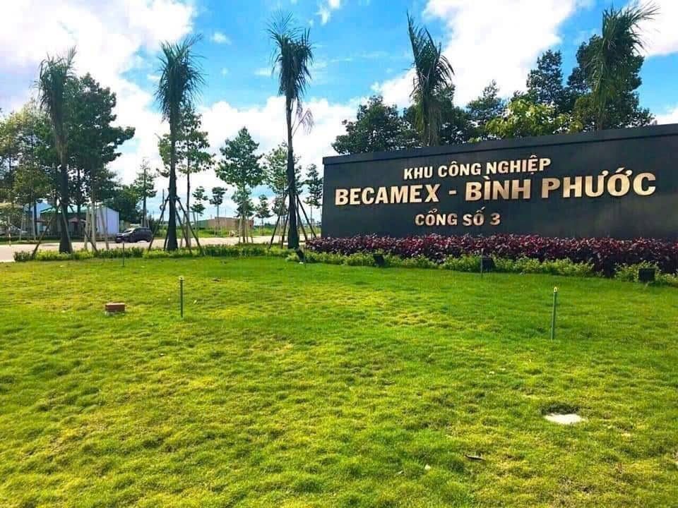 BÁN GẤP 3.200M2 GIÁ 160 TRIỆU, ĐẤT MT GẦN CHỢ, SỔ HỒNG RIÊNG ☎️ 0969.950.161 (Gặp Chủ) - Ảnh 8