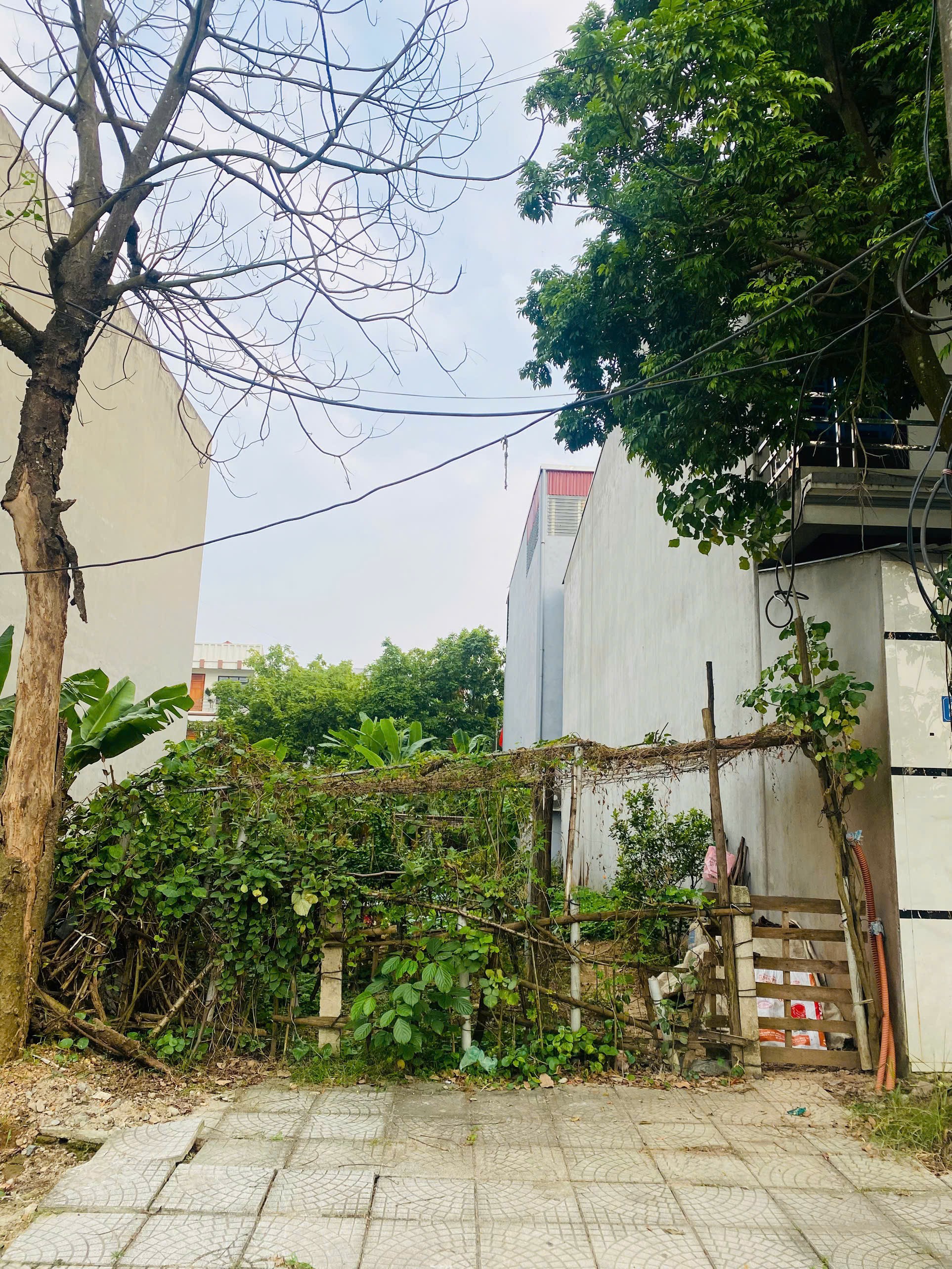 BÁN gấp lô đất đẹp cụm kinh tế Đồng Tâm, Trần Doãn Hựu, Vĩnh Yên 100m mt5m sẵn sổ 2,7 tỷ 0988296228 - Ảnh 2