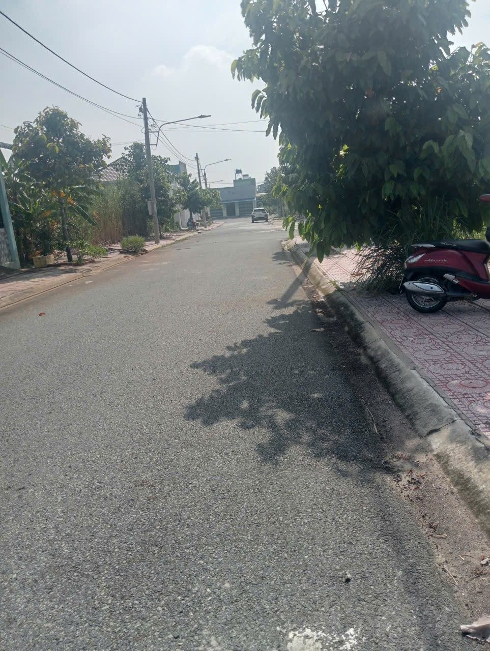 Bán Đất 100m2 có sẵn 100 m2 thổ cư giá 1tỷ150 tại Đường Tỉnh lộ 824 Xã Hựu Thạnh Huyện Đức Hòa Long An - Ảnh 3