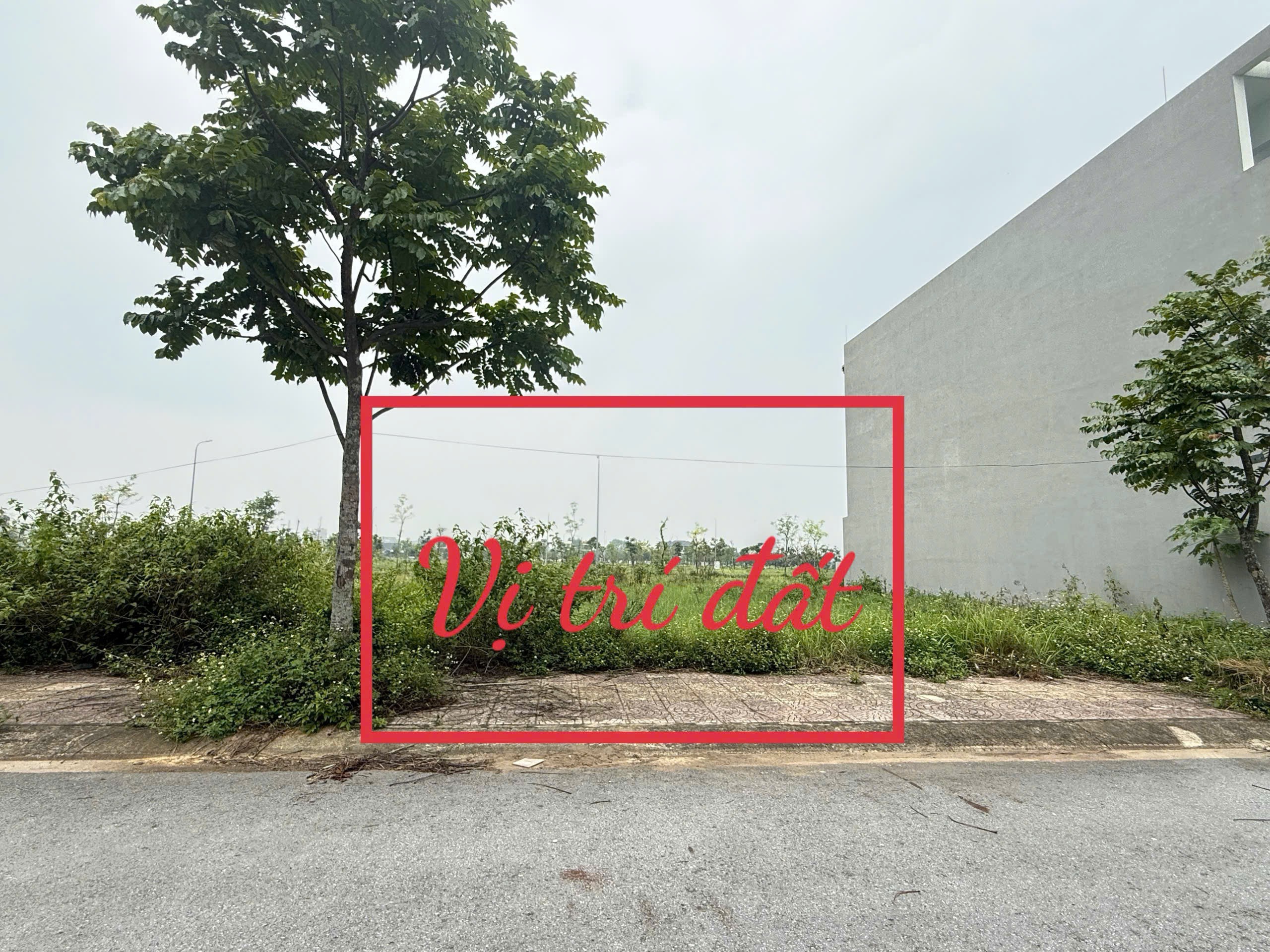 CHÍNH CHỦ BÁN GẤP LÔ ĐẤT ĐẸP NAM VĨNH YÊN VỊ TRÍ VÀNG BĂNG 2 ĐƯỜNG 33M DT100m2 MT5m 3,9 TỶ 0988296228 - Ảnh 3