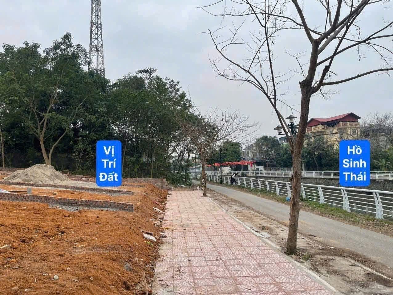 BÁN GẤP LÔ ĐẤT ĐẸP VIEW HỒ ĐÔNG PHÚ 2 ĐỒNG TÂM 100m2 MT5m ĐƯỜNG Ô TÔ SẴN SỔ 2,1X TỶ SĐCC - Ảnh 2