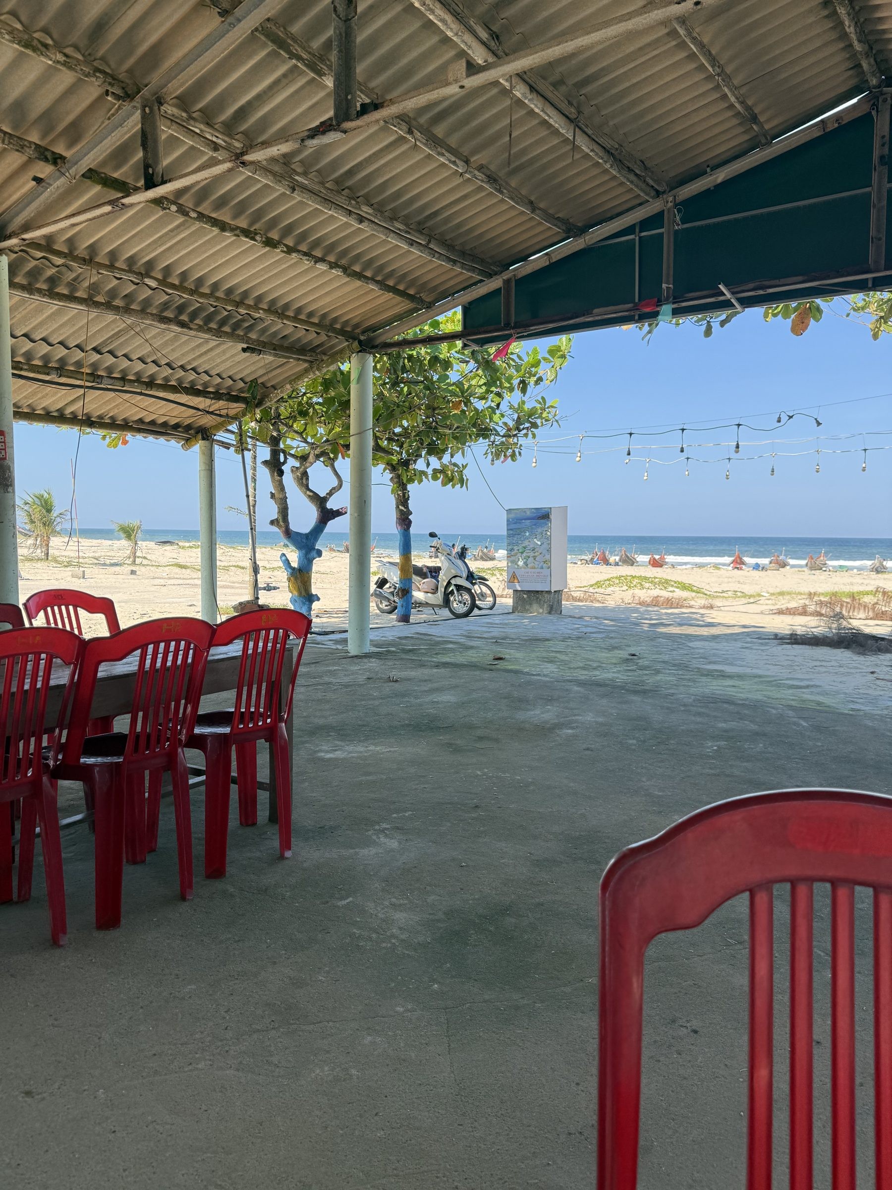 Bán Đất 1200m2 có sẵn 1200 m2 thổ cư giá 2.6 tỷ tại Đường trục dọc kinh tế Triệu Cơ - tiềm năng Xã Triệu Lăng Huyện Triệu Phong Quảng Trị - Ảnh 3