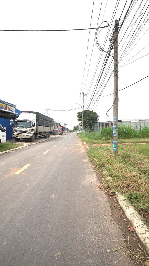 Cho thuê 1000 m2, 2000 m2 (tùy nhu cầu) để trồng rau. Giá 4 tr/1000 m2