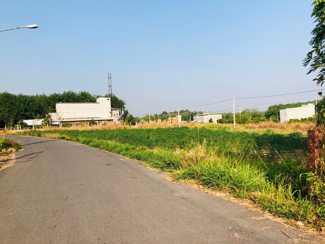 KẸT TIỀN BÁN GẤP 15X50M=750M2. - Ảnh 6