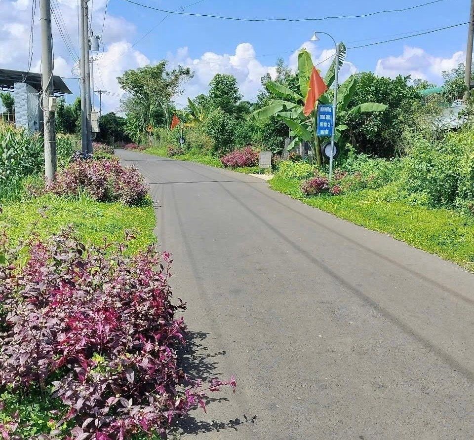 BÁN GẤP 3.600M2 THỔ CƯ 200M2 LÊN ĐƯỢC GIÁ 160 TRIỆU, ĐẤT MT GẦN CHỢ, SỔ HỒNG RIÊNG ☎️ 0969.950.161 (Gặp Chủ) - Ảnh 7