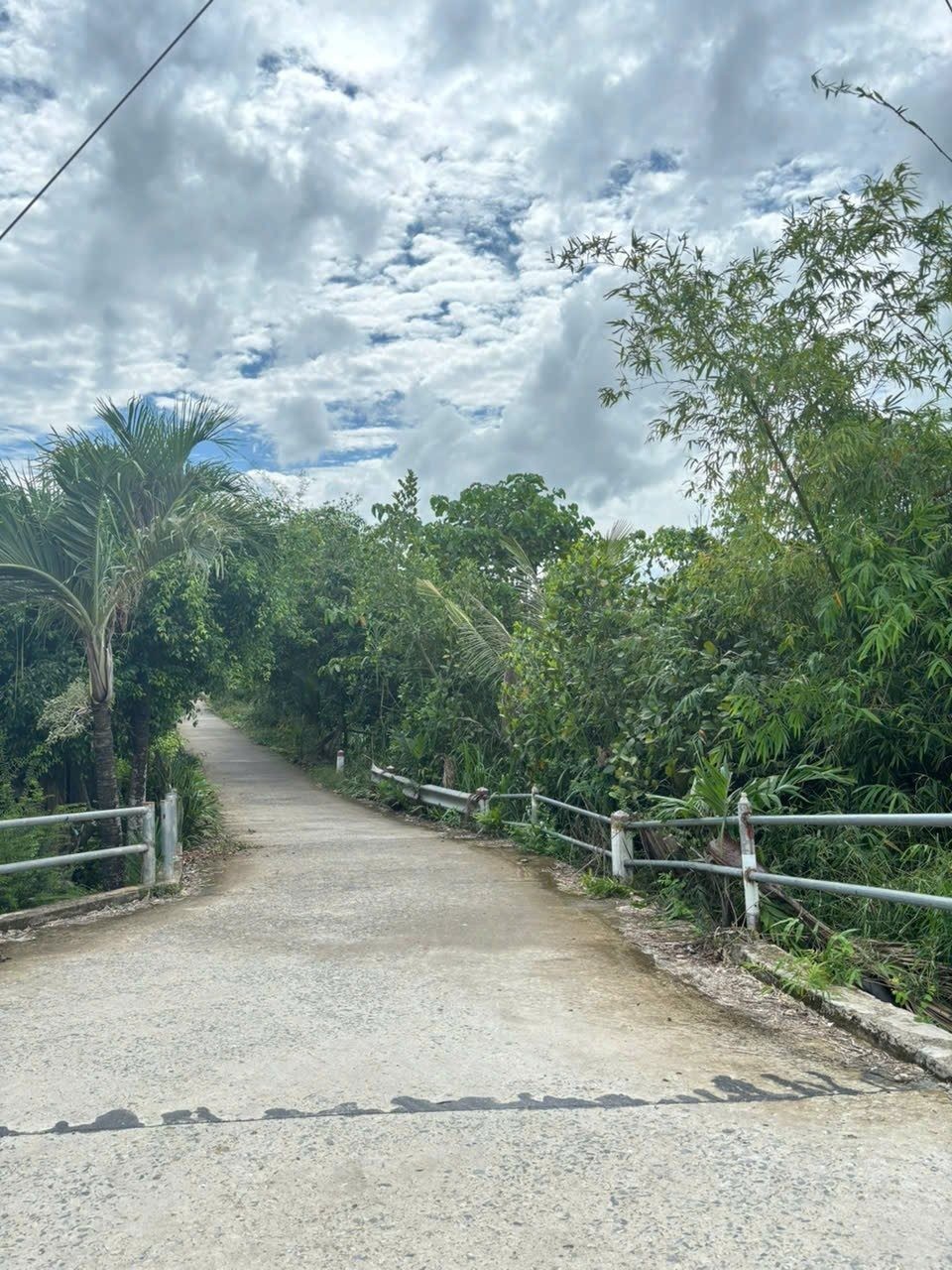 Bán Nhà riêng 1928.8m2 có sẵn 258 m2 thổ cư giá 1.95 tỷ tại Xã Hậu Thạnh Đông Huyện Tân Thạnh Long An - Ảnh 1