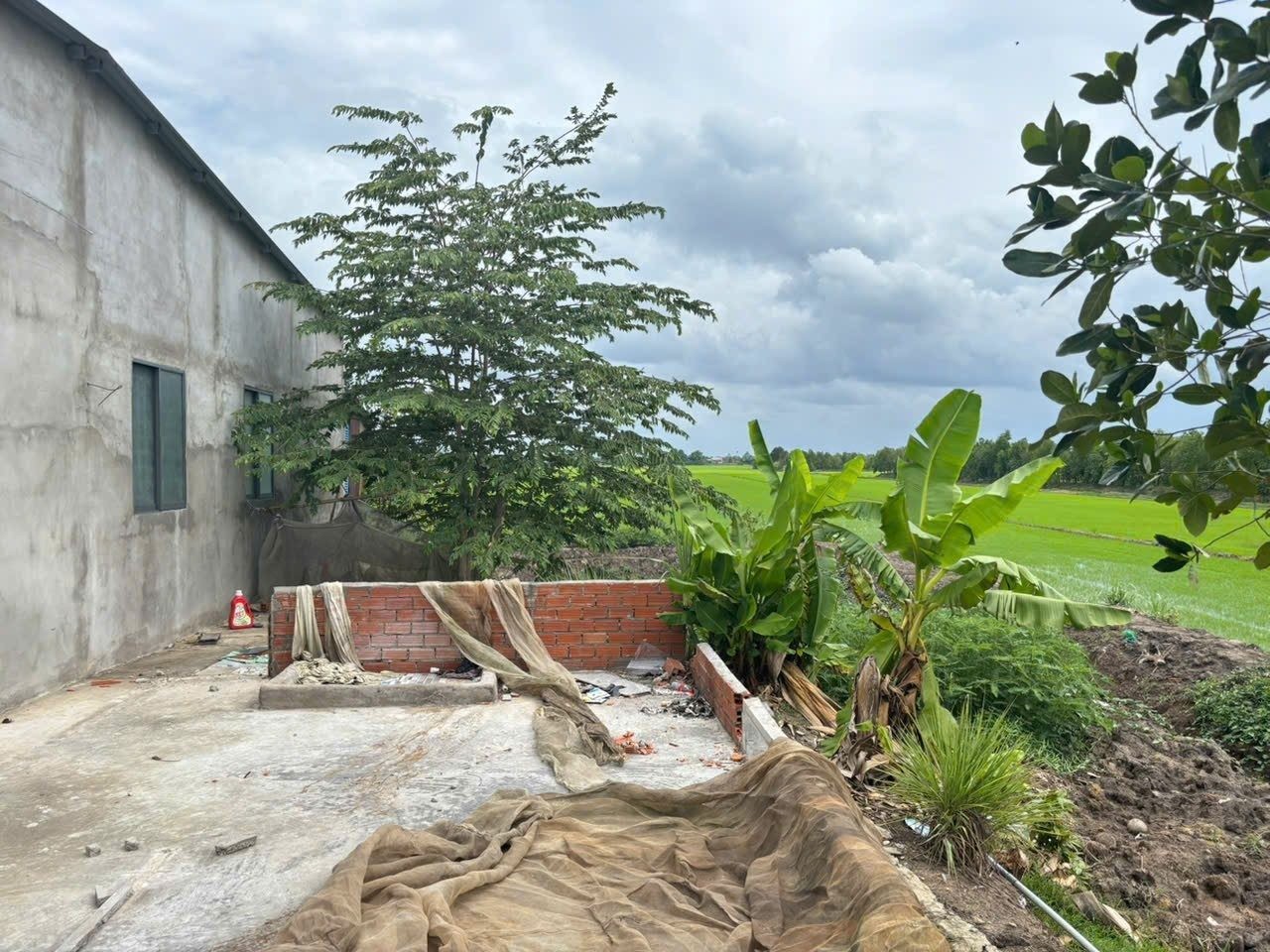 Bán Nhà riêng 1928.8m2 có sẵn 258 m2 thổ cư giá 1.95 tỷ tại Xã Hậu Thạnh Đông Huyện Tân Thạnh Long An - Ảnh 6