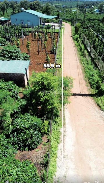 gia đình cần việc 1892m có Thổ Cư bám 55m đường bê tông