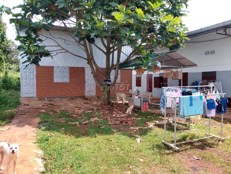 lô đất cần bán
