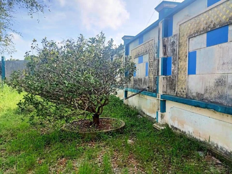 Quản Lộ Phụng Hiệp, Tân Thành, Cà Mau, 8898m, ngang 69m, chỉ 29 tỷ